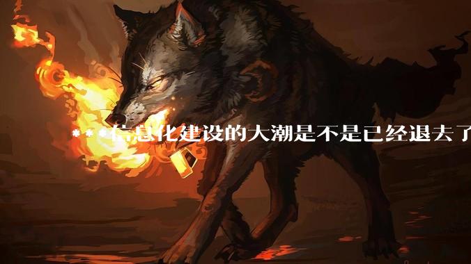 ***信息化建设的大潮是不是已经退去了？