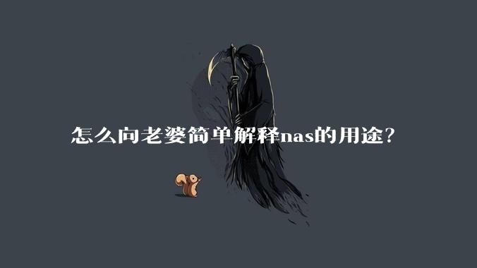 怎么向老婆简单解释nas的用途？