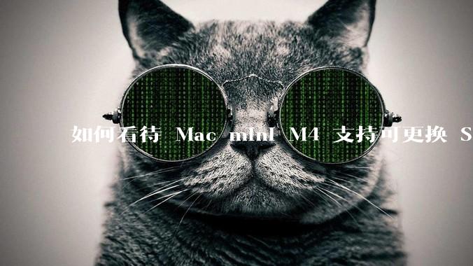 如何看待 Mac mini M4 支持可更换 SSD？