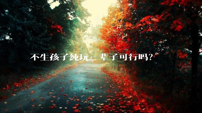 不生孩子纯玩一辈子可行吗？