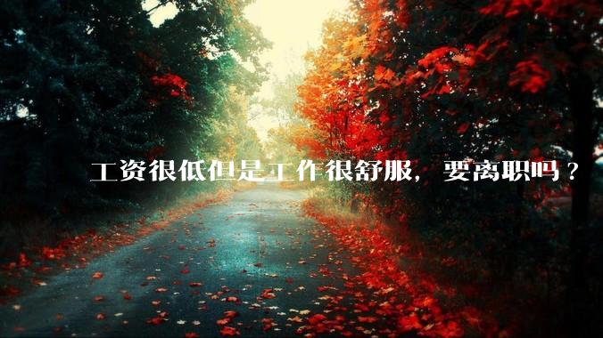 工资很低但是工作很舒服，要离职吗?