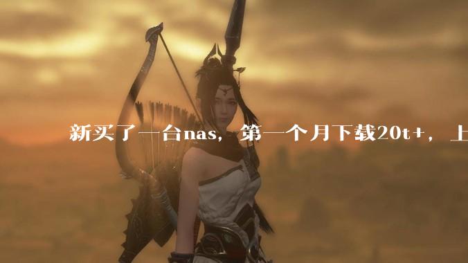 新买了一台nas，第一个月下载20t+，上传5+，不会被网警盯上吧?